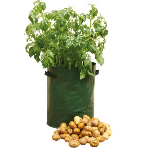  Potato patio planter