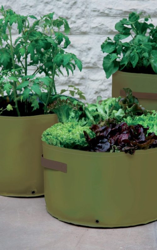  3 Sizes Vegetable Patio Planters