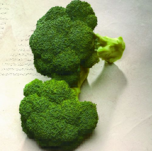  Broccoli Diplomat F1