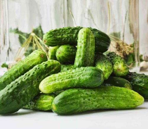  Cucumber – Pickling Petipikel F1