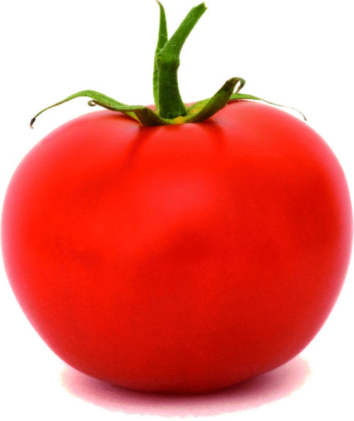  Tomato Marmande