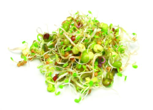  Sprouts Vitality Mix