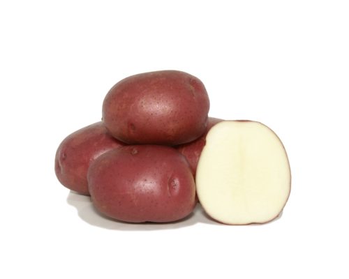  Potato (bulbs) Norland