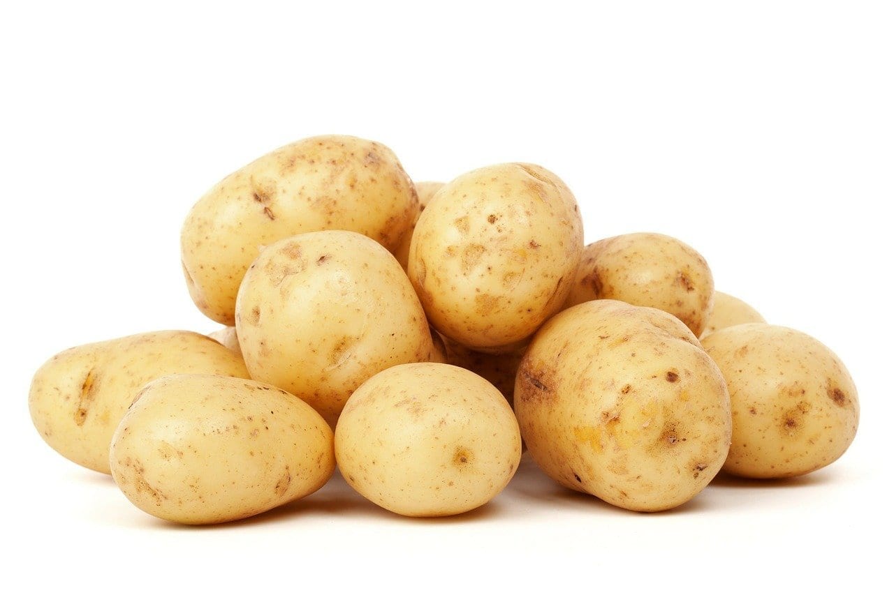 Potato (bulbs) ‘Vivaldi’