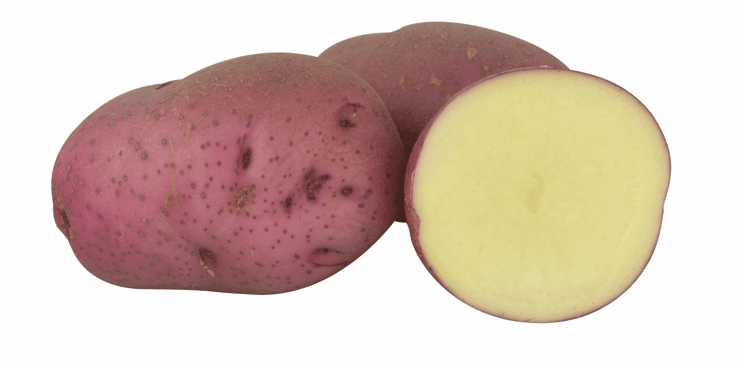 Potato (bulbs) Norland