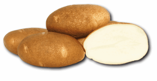  Potato (bulbs) Goldrush