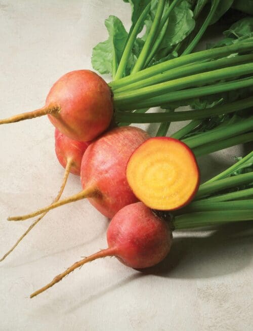  Beet Touchstone Gold