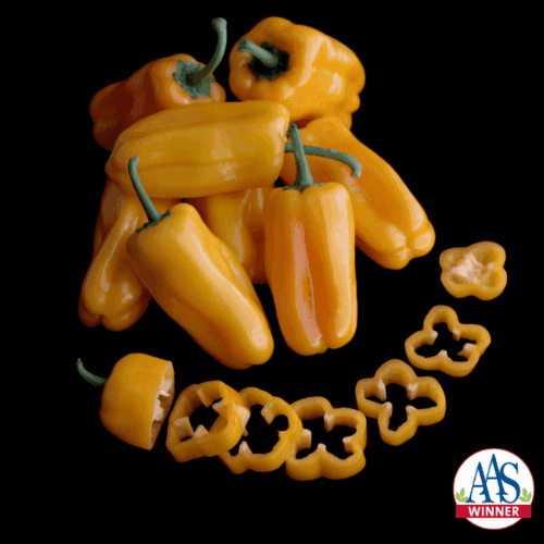  Sweet Pepper Just Sweet F1