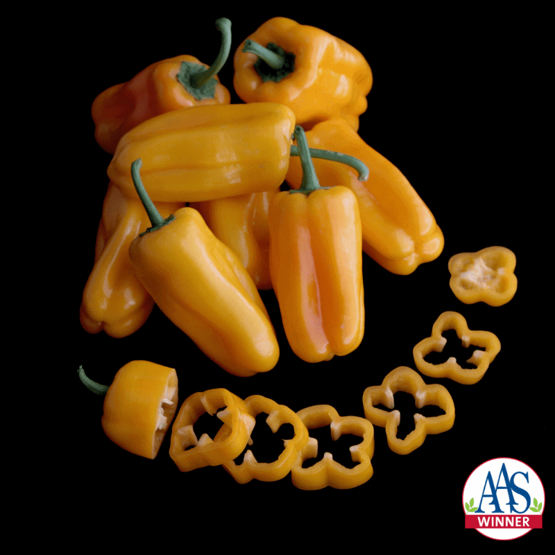 Sweet Pepper Just Sweet F1