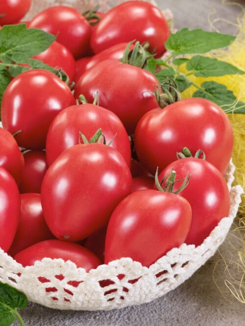  Tomato Oxheart