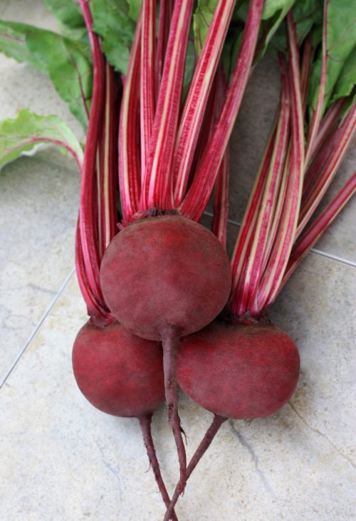  Beet Detroit Suprême