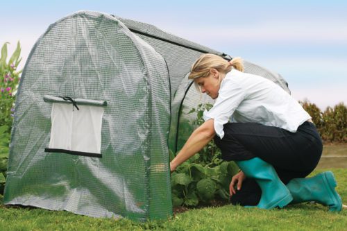  Compact greenhouse frame with polythene 5 ft