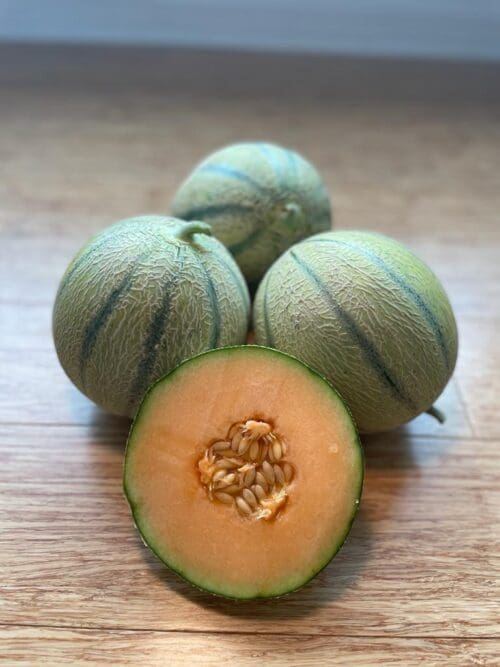  Cantaloupe Melonade F1