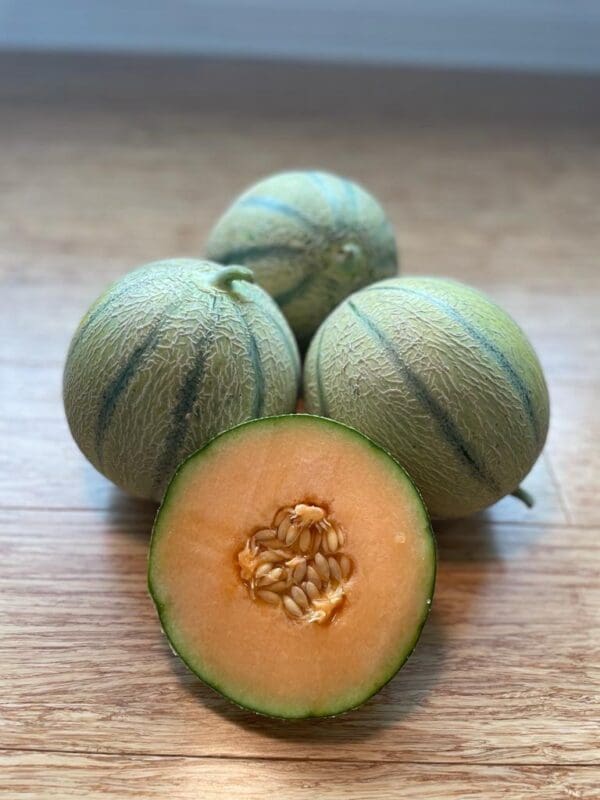 Cantaloupe Melonade F1