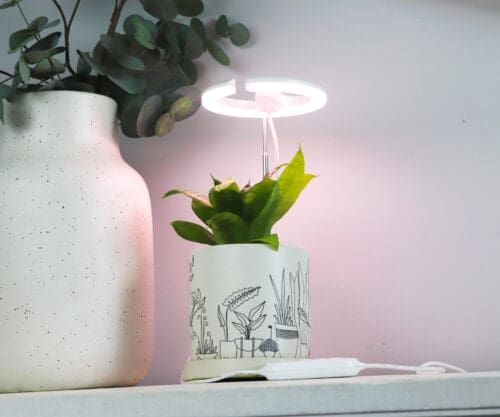  Halo 360 Led Grow light