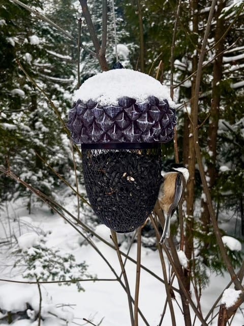  Acorn Shape Mesh Feeder
