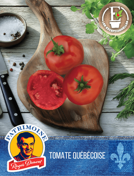 Tomato UltraBec