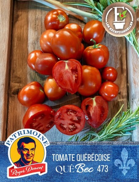 Italian Tomato Patrimoine Roger Doucet QueBec 473
