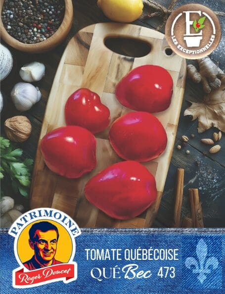 Italian Tomato Patrimoine Roger Doucet QueBec 473