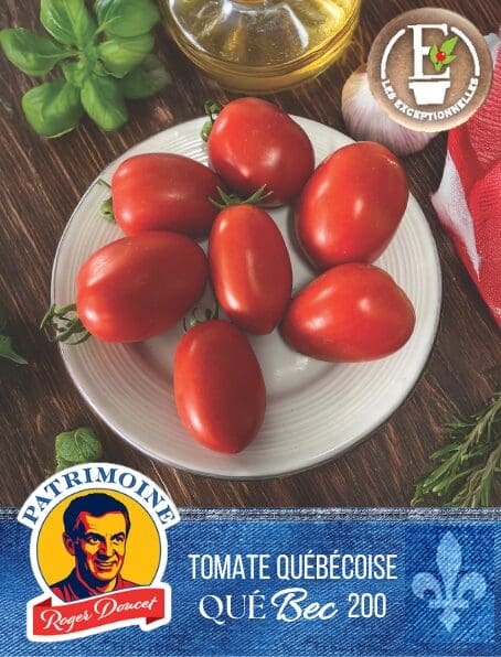 Italian Tomato Patrimoine Roger Doucet QueBec 200