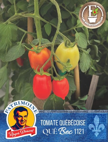 Italian Tomato Patrimoine Roger Doucet QueBec 1121