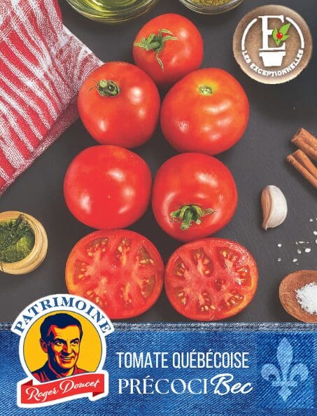 Tomato Patrimoine Roger Doucet PrecociBec