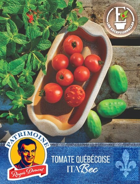 Tomato Patrimoine Roger Doucet ItaBec