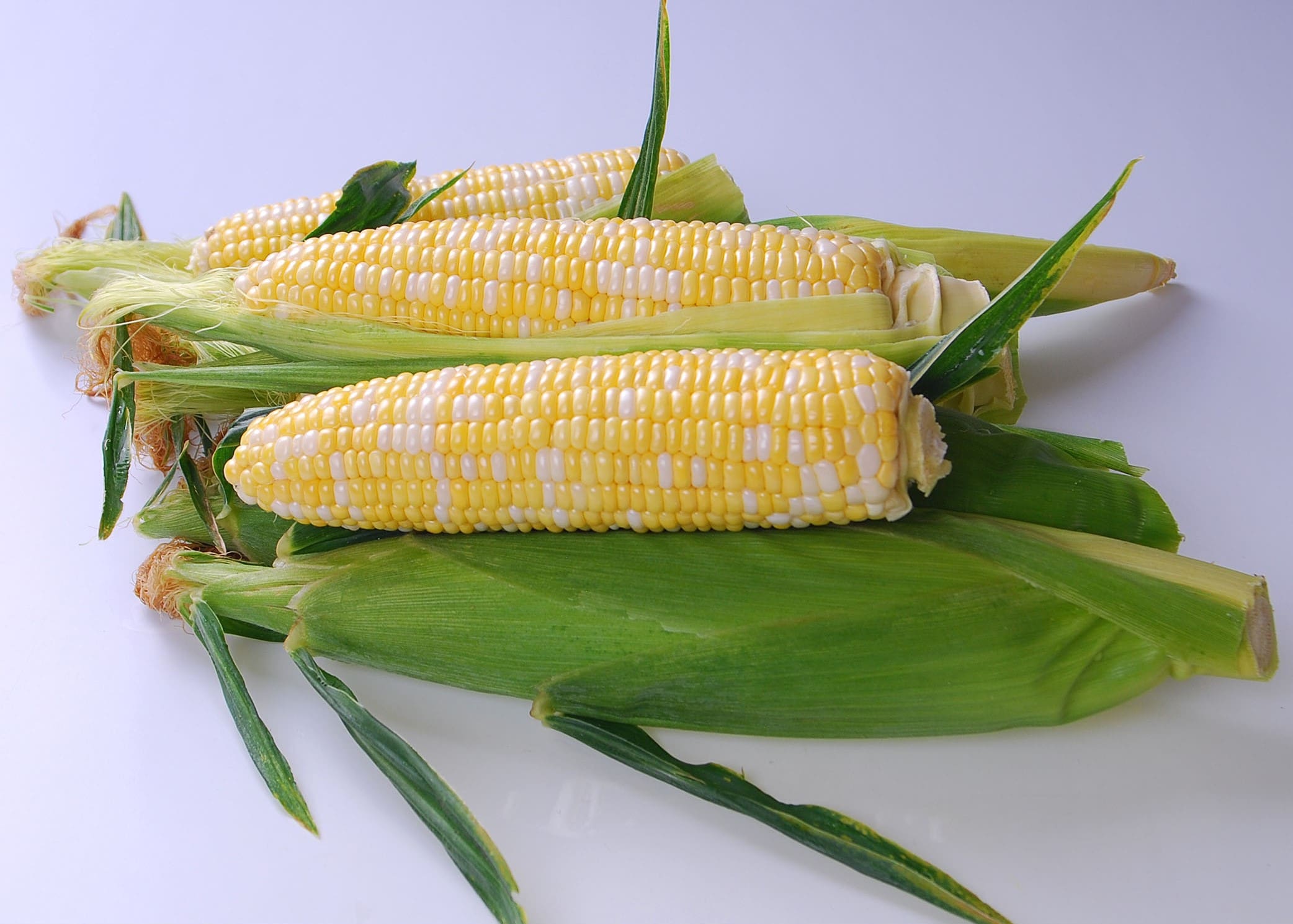 Sweet Corn Hyb. Temptress Bicolour Quad Sweet