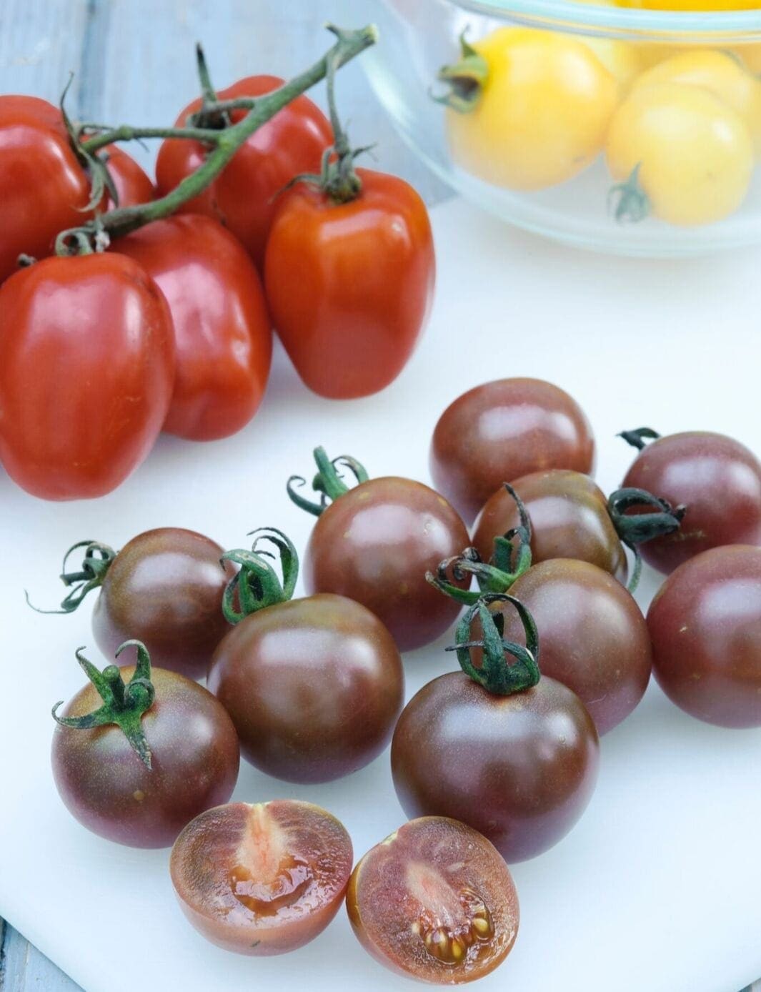 Jeune Plante De Pousse De Tomate Avec Des Feuilles S'élevant Dans Le Pot De  Tourbe Image stock - Image du cultivez, ferme: 120493223