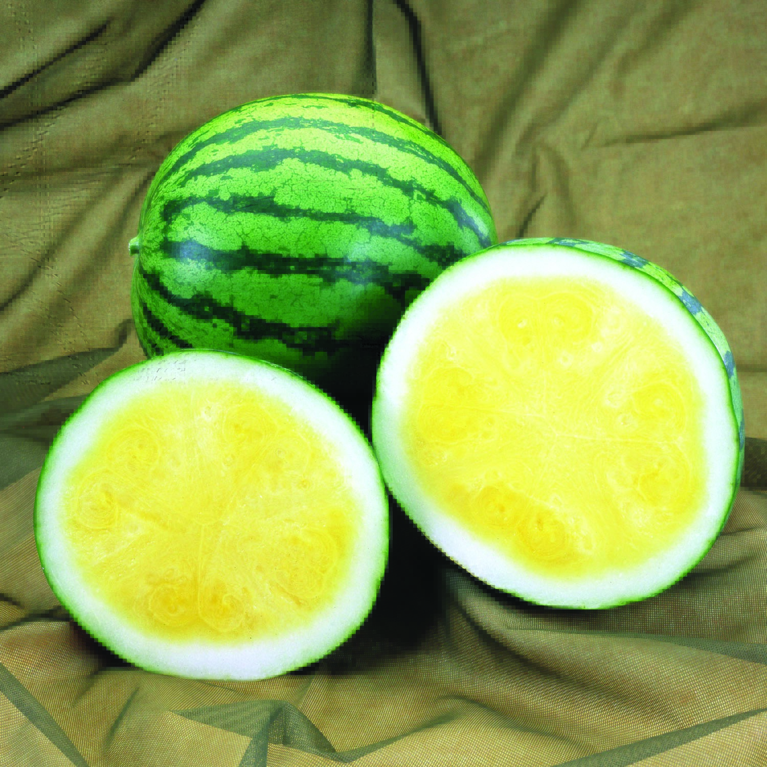Melon jaune