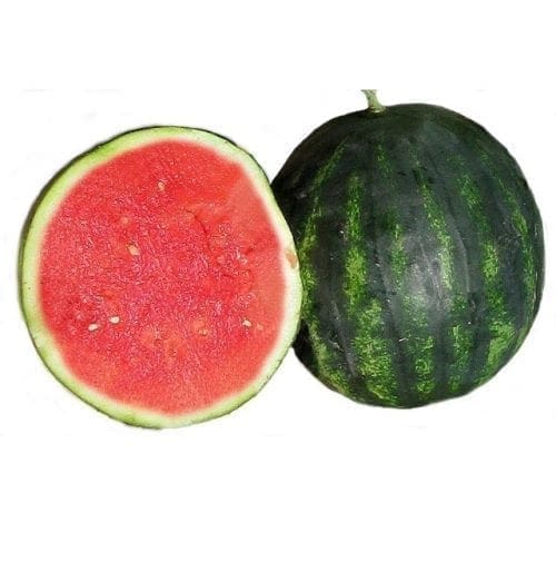  Melon Serval F1 (mini)