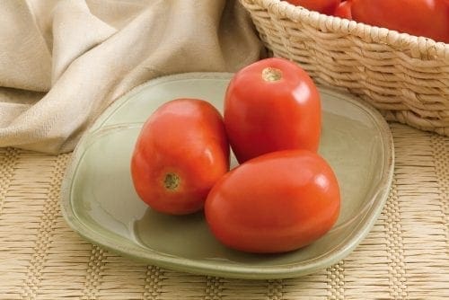  Tomate Monticello F1