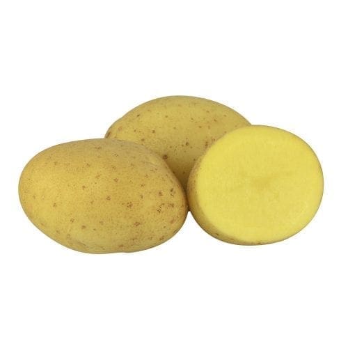  Pommes de terre (bulbes) – ‘Vivaldi’
