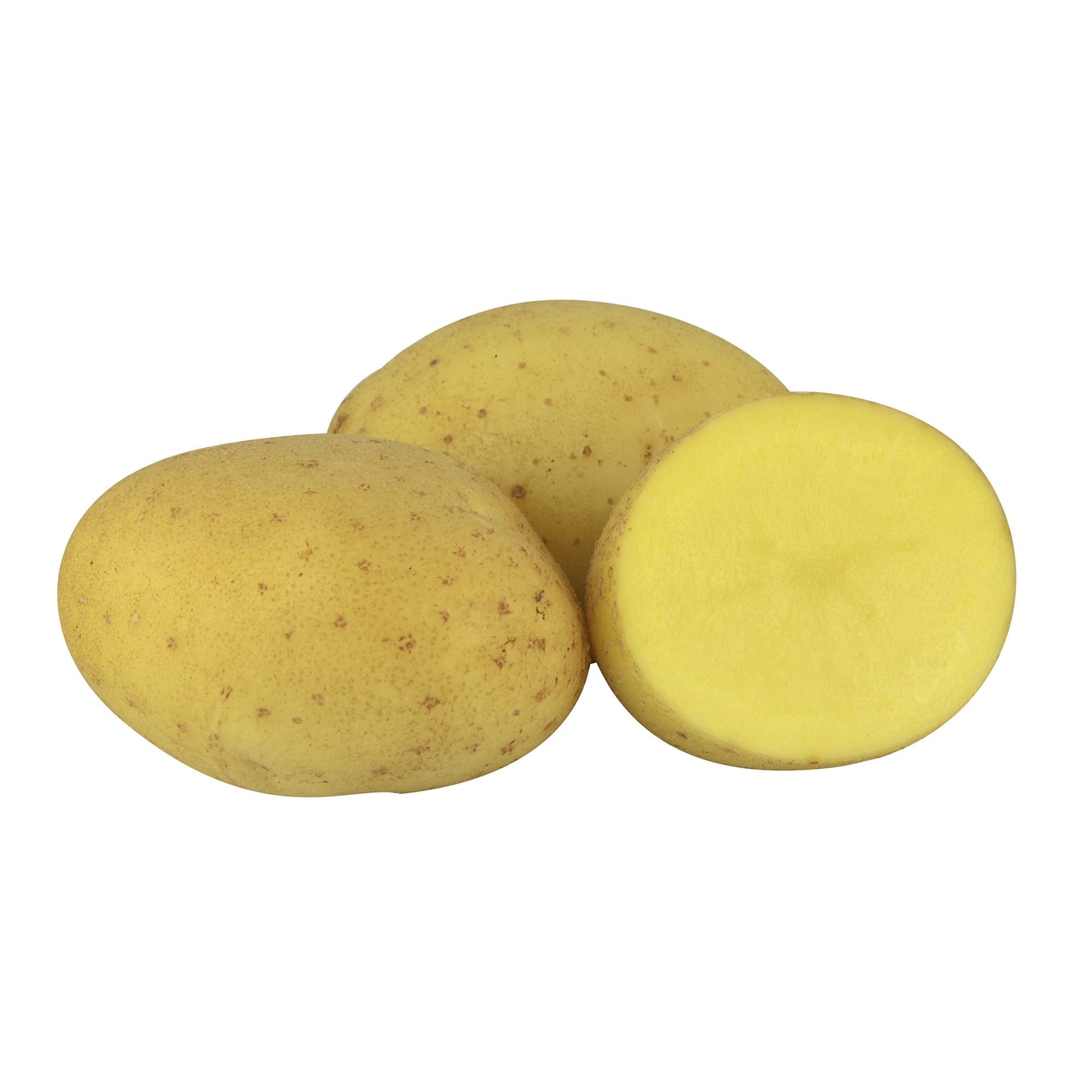 La pomme de terre jaune