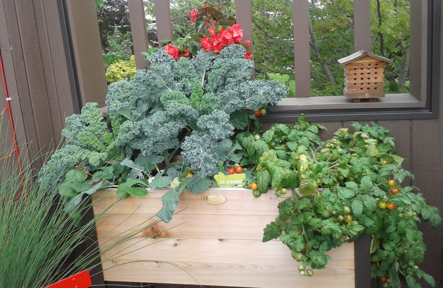 Vingt types de légumes à cultiver sur votre balcon ou patio