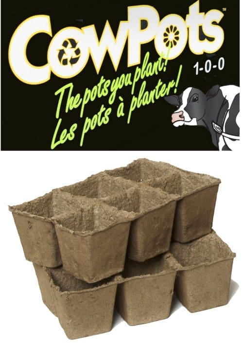  ‘CowPots’ 7.5 cm paquet de six (6) cellules