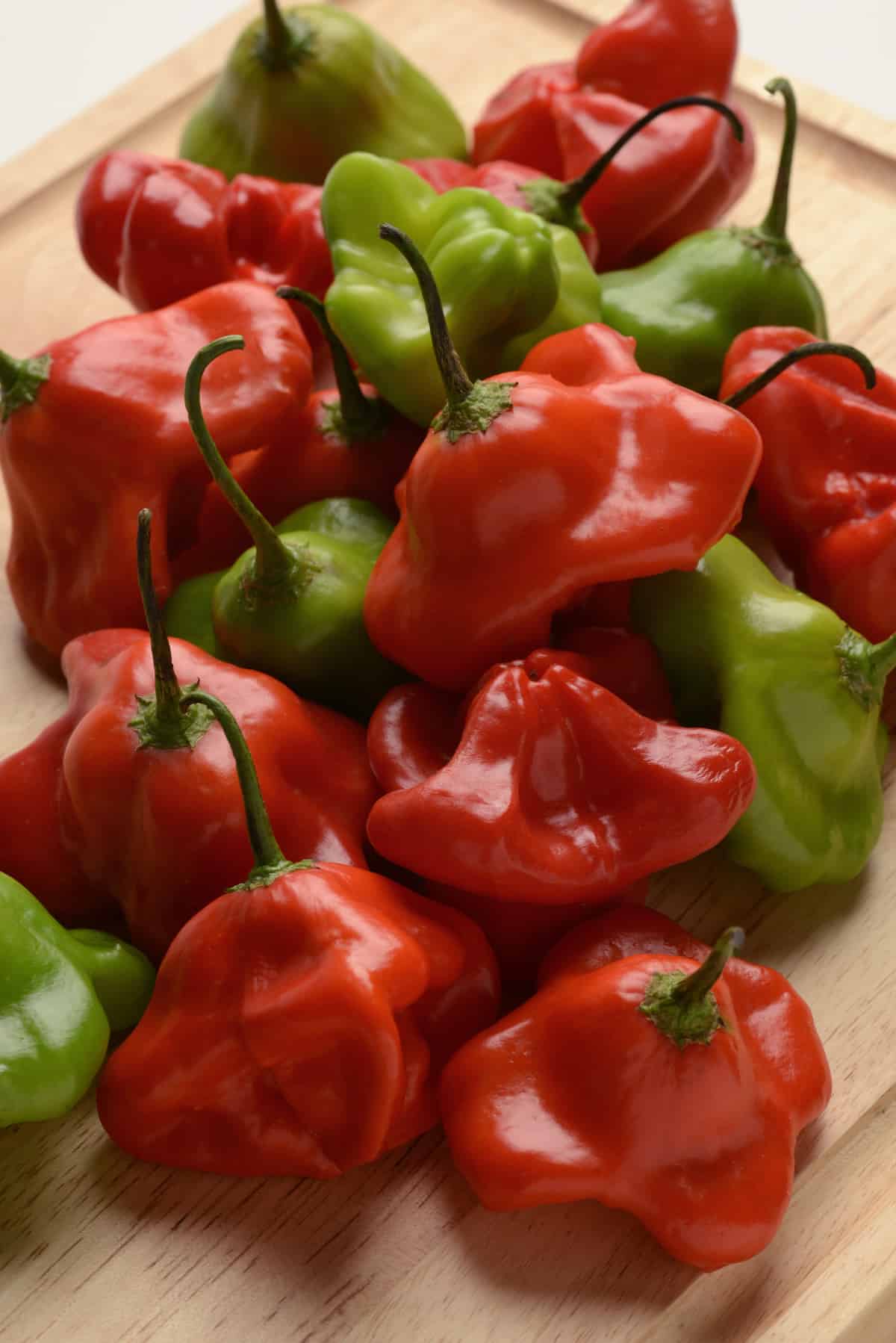 Poivron Mad Hatter F1 – Image 2