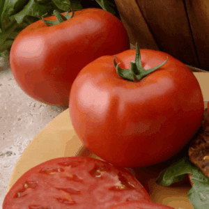 Tomate Beefsteak