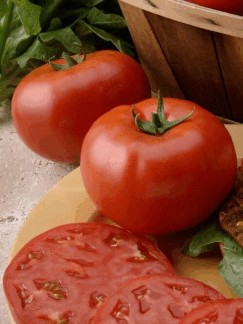 Tomate Beefsteak
