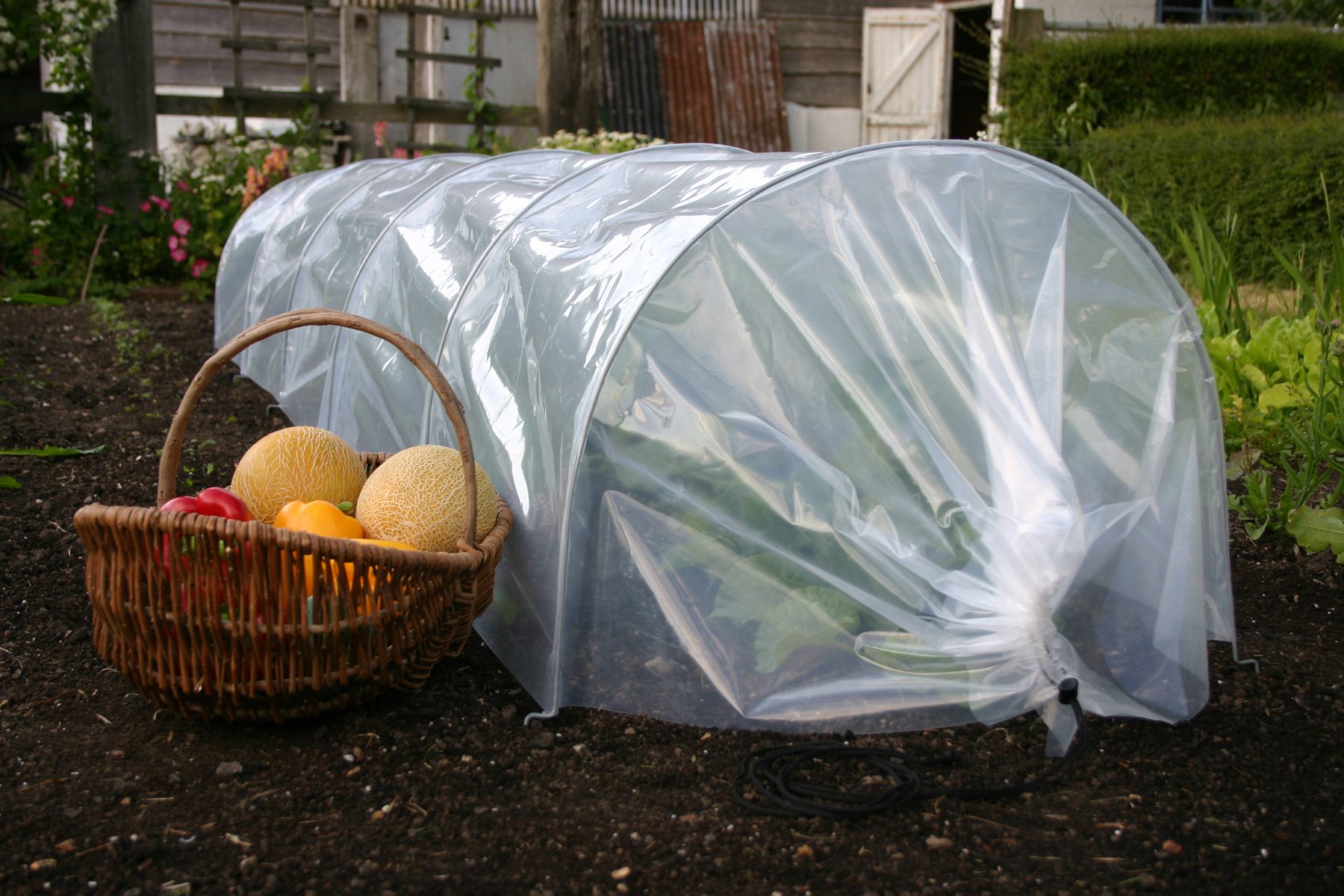 Filet de protection contre les insectes pour plantes potagères de jardin  protègent le tunnel de filet Fine Me 