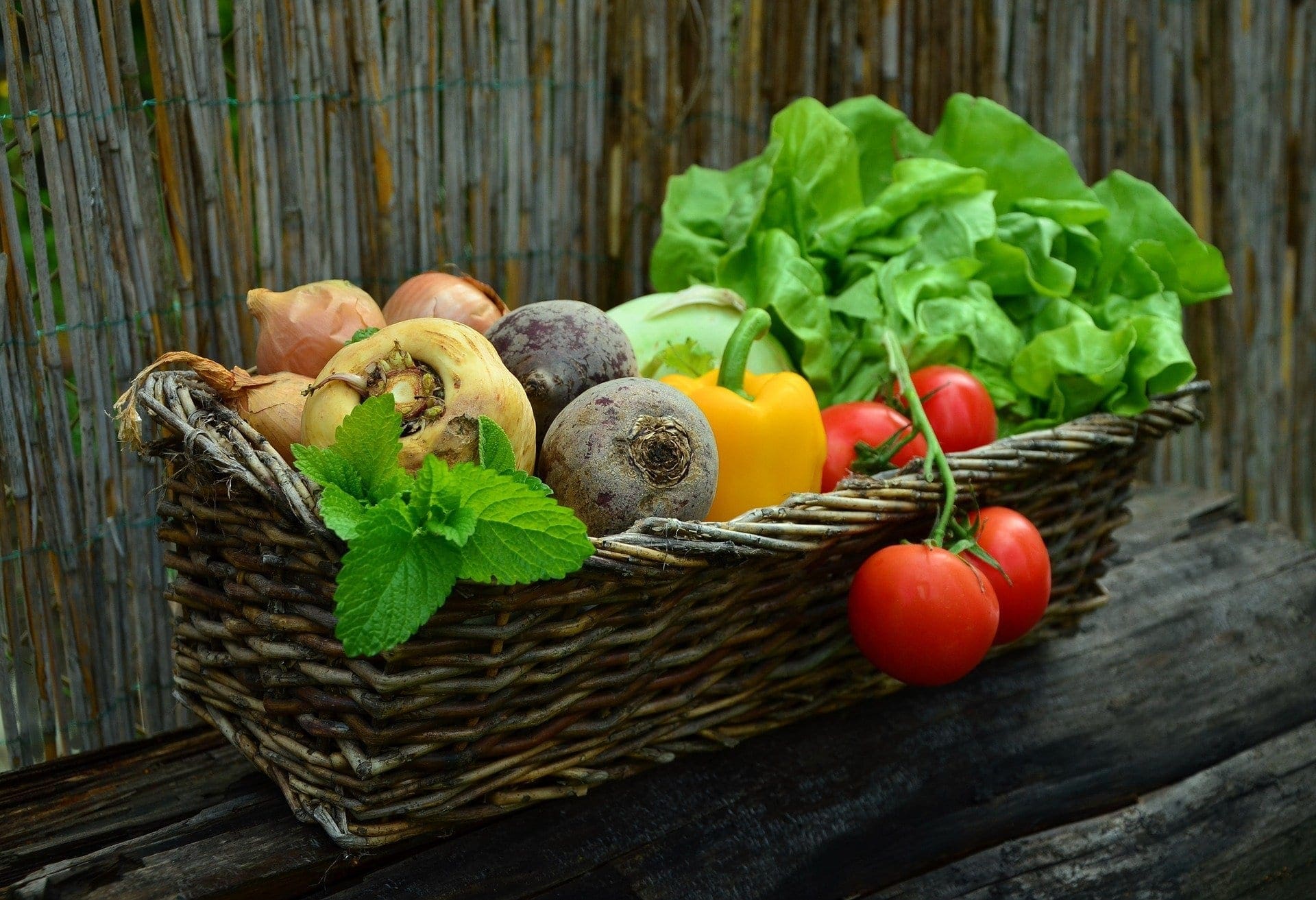 Courge Ornementale Ga Ga Ga F1