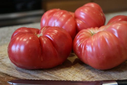  Tomate Pink Delicious Rose F1