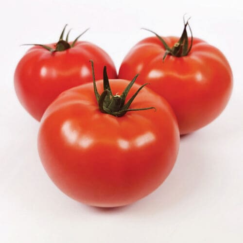  Tomate de serre Inspired F1