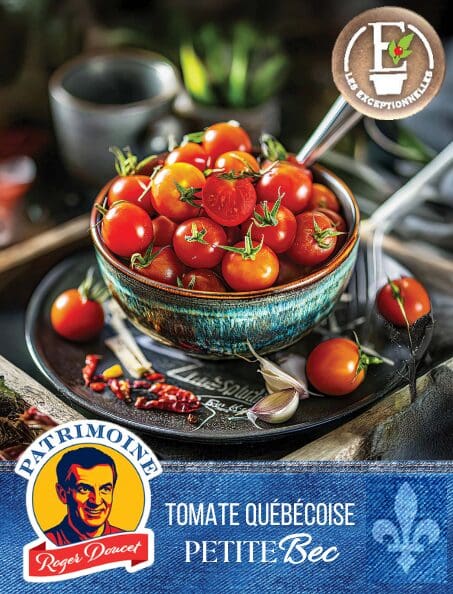 Tomate Patrimoine Roger Doucet PetiteBec