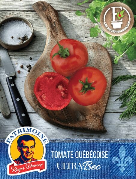 Tomate Patrimoine Roger Doucet UltraBec