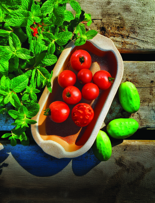 Tomate Patrimoine Roger Doucet ItaBec