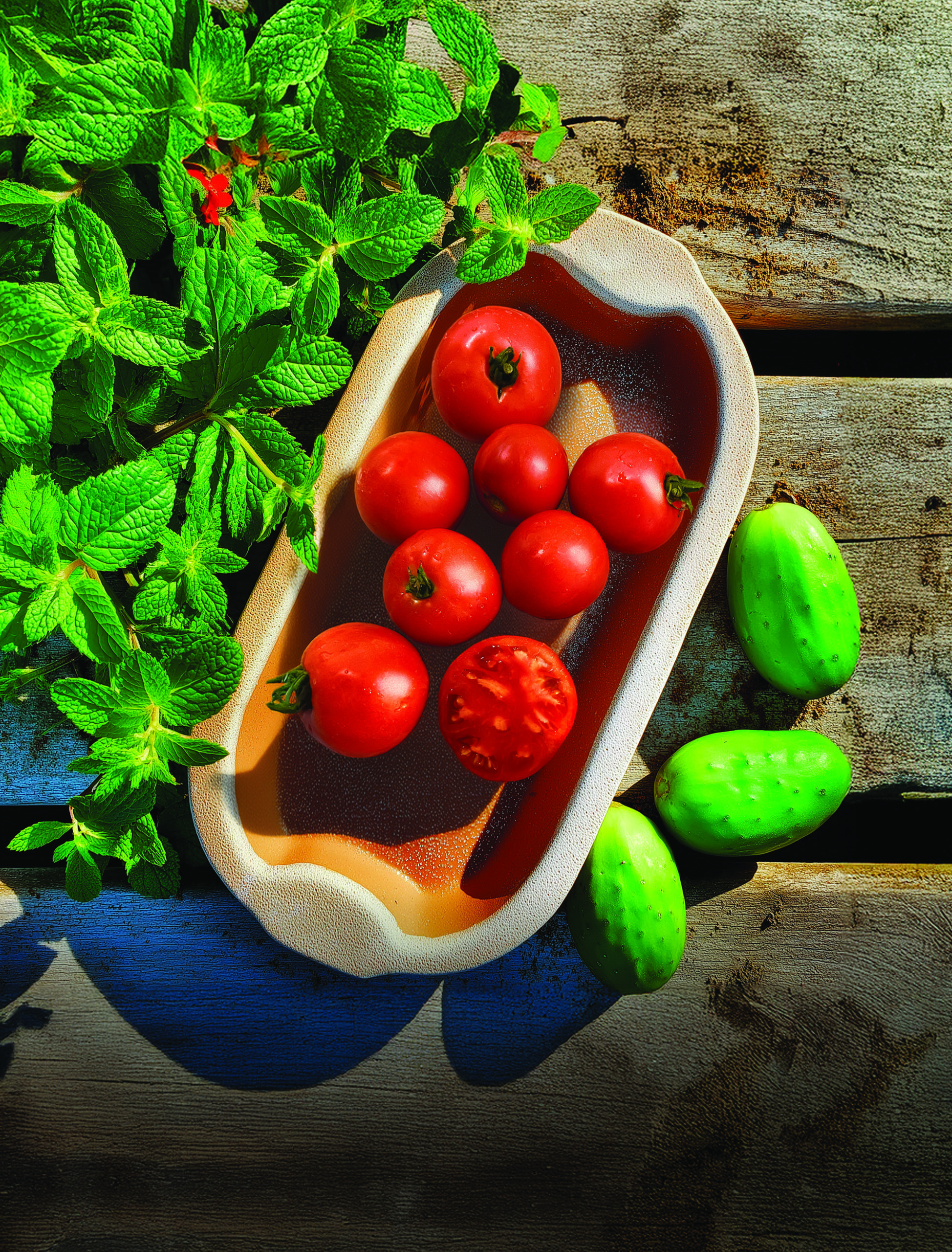 Tomate Patrimoine Roger Doucet ItaBec