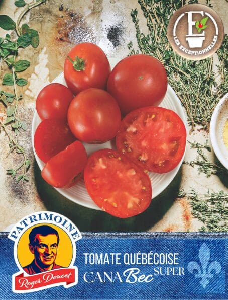 Tomate Patrimoine Roger Doucet CanaBec Super
