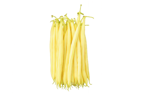 Haricot français nain Goldplay jaune