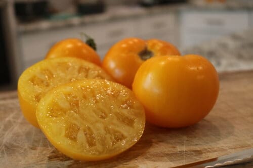 Tomate Hyb. Goldmine Plus jaune